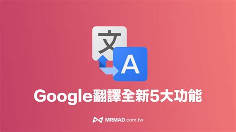 放鳥 語譯|Google 翻譯